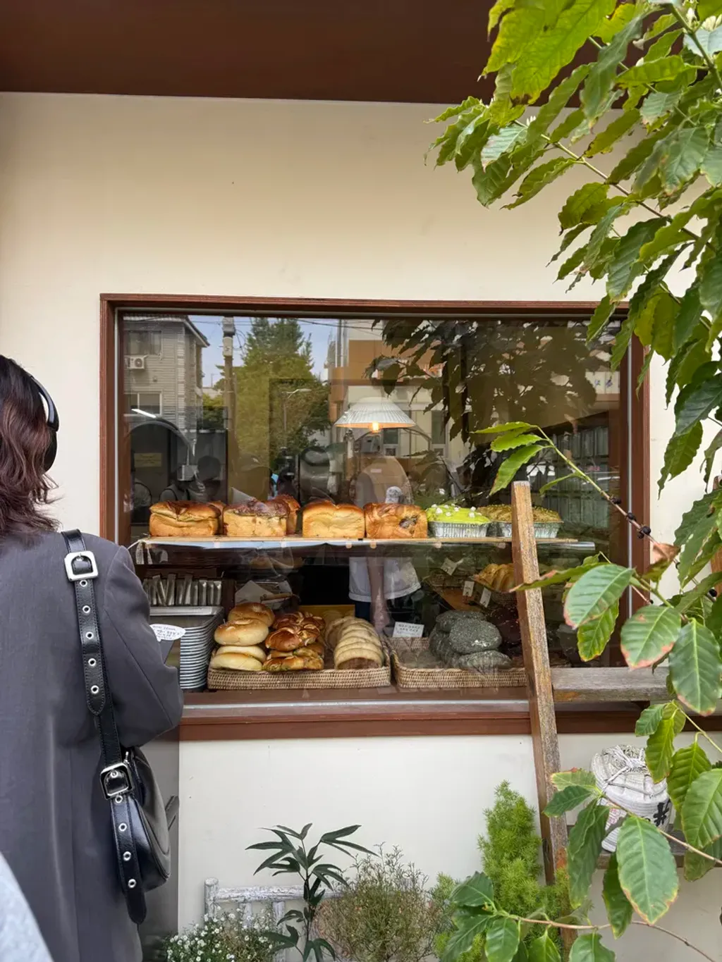 외부에서 보이는 후와후와 빵들