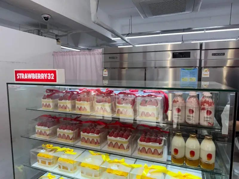 쇼케이스와 냉장고 내부 모습