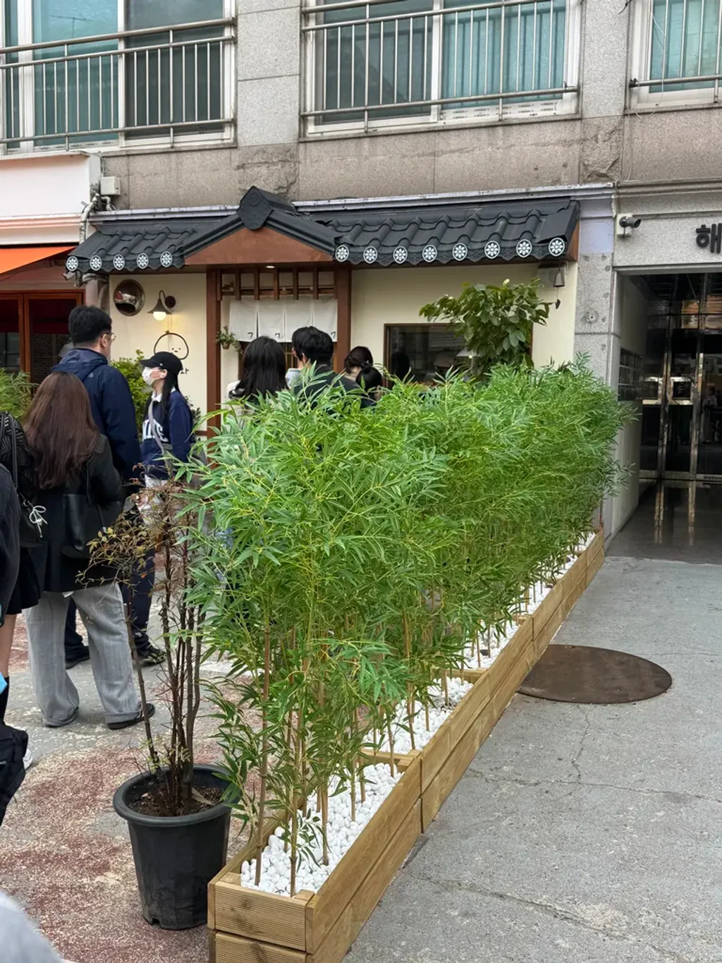 후와후와 외부 대나무 스타일 인테리어