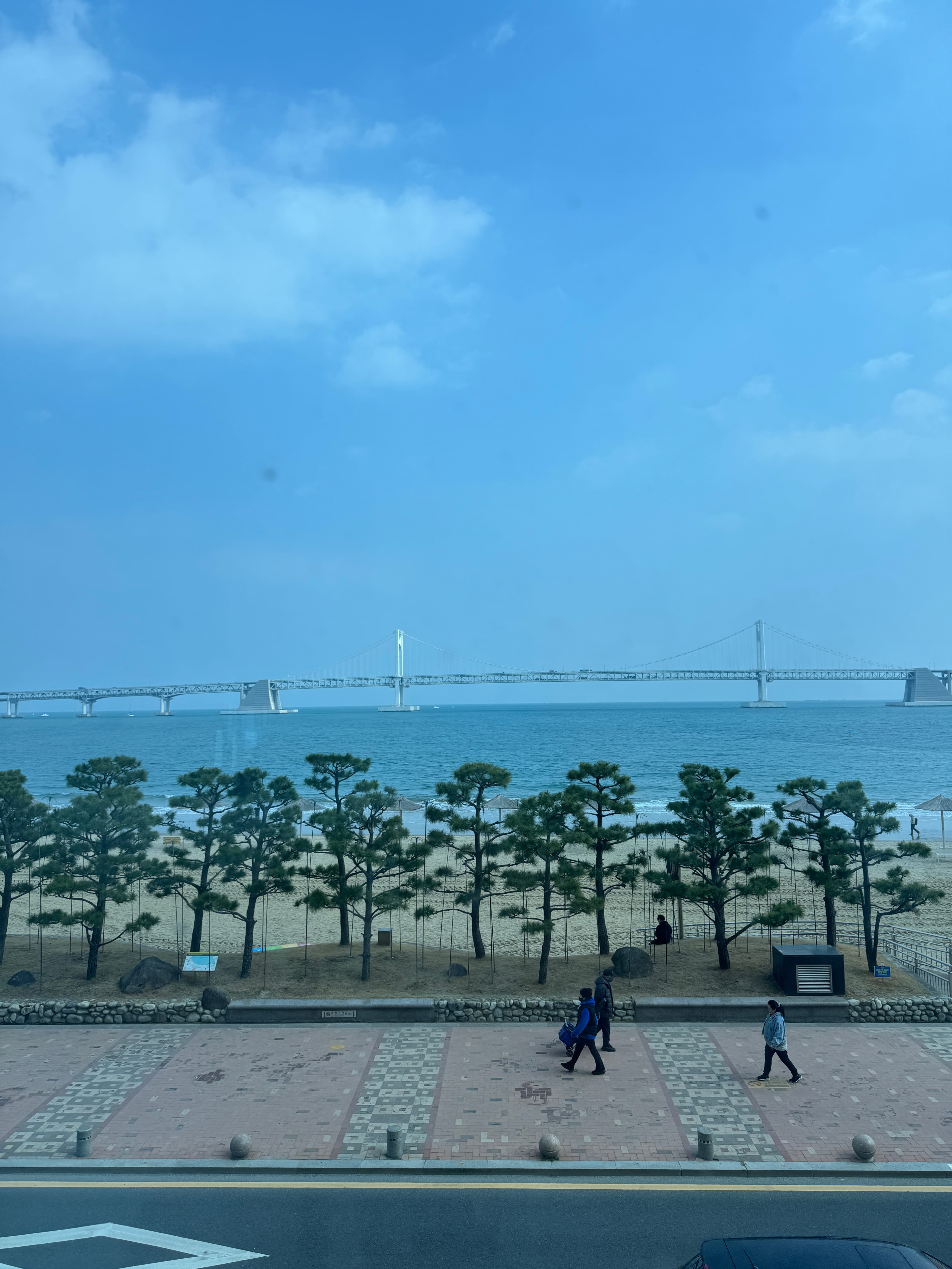 부산 광안리, 별이 쏟아지는 오션뷰 카페 '별침대' 솔직 후기